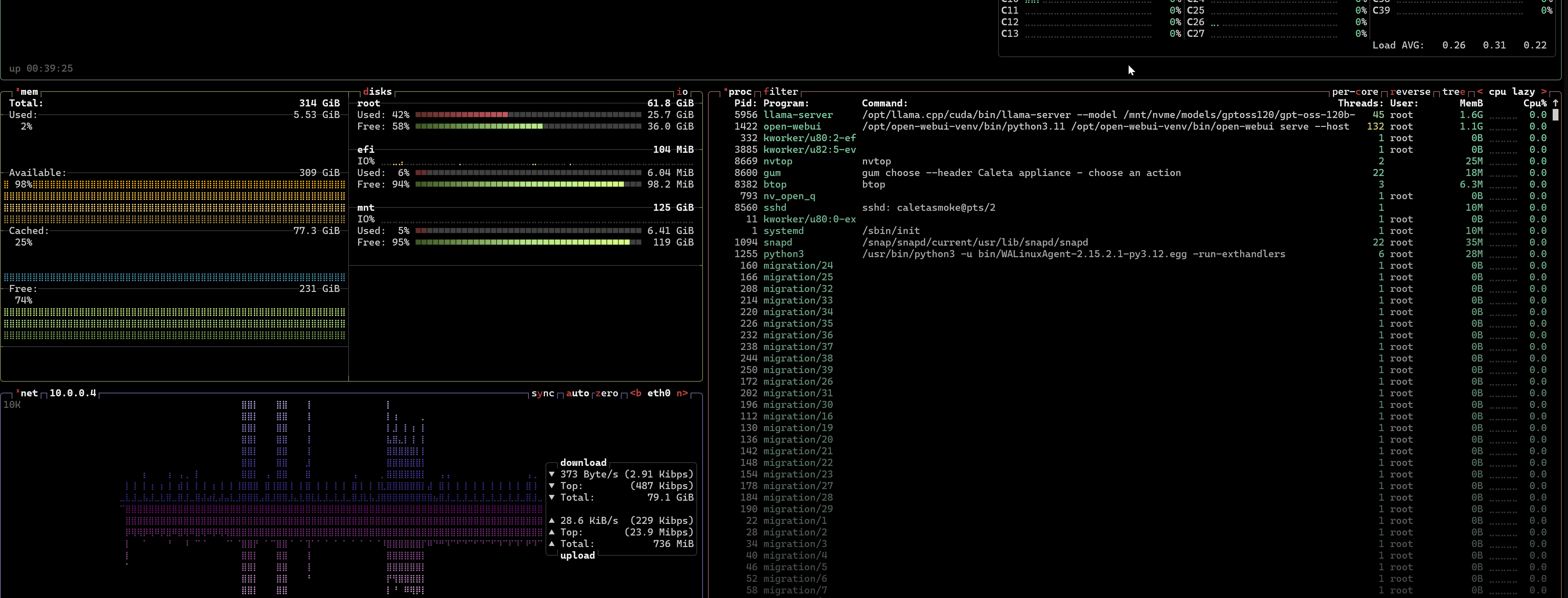 btop resource monitor on the appliance